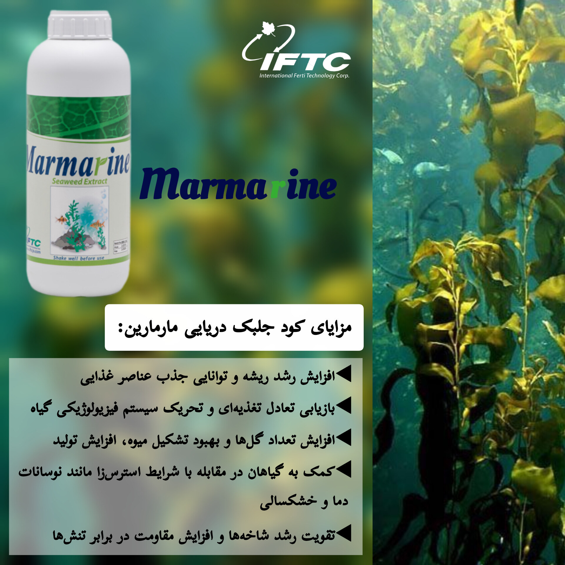 مزایای کود جلبک دریایی مارمارین