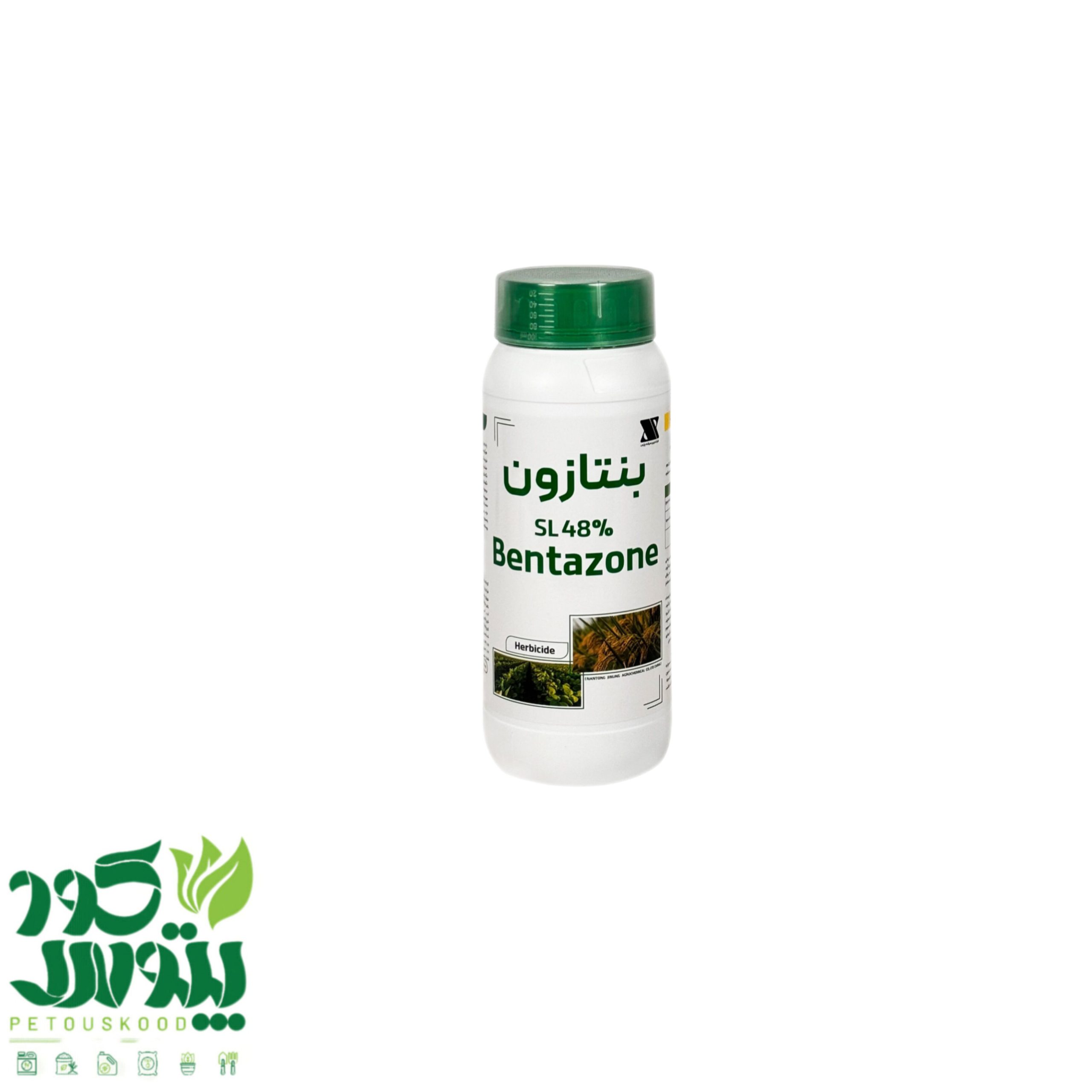 بنتازون زرین سرشت پارس